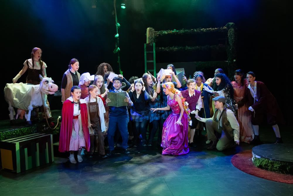 Into the Woods Junior performance